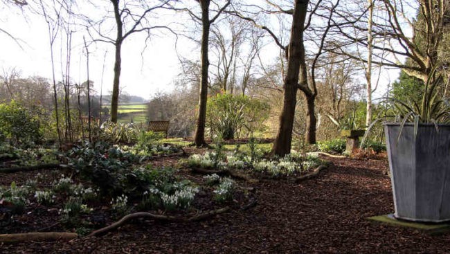 The Garden at The Dower House